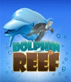 dophin reef