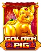 Golden-Pig